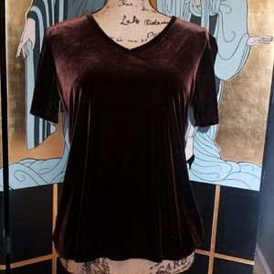 2 for $20 Chocolate Brown Velvet  V-Neck Shirt